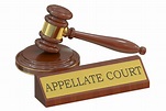 Essential Tips for Effective Oral Advocacy in Appellate Courts ...
