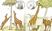 Lamarck and Darwin