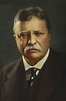 DCs and Presidents – Theodore Roosevelt at St. Vincent Hospital ...