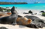 Las 15 Mejores Cosas Que Hacer Y Ver En Las Islas Galápagos - Tips Para ...
