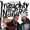 Naughty By Nature - Greatest Hits: Naughty's Nicest [compilation] (2005 ...