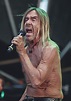 Iggy Pop | Nickelodeon | Fandom