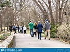 People Walking in Park editorial photography. Image of relaxation ...