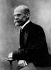 As teorias sociológicas - Émile Durkheim