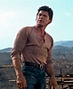 Charles Bronson The Magnificent Seven | Charles bronson, Actor charles ...