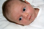 newborn-baby-with-blue-eyes image - Free stock photo - Public Domain ...