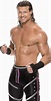 Dolph Ziggler | WWE Wiki | FANDOM powered by Wikia