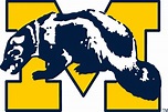 [47+] Michigan Wolverines Logo Wallpapers | WallpaperSafari