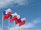 Country Flag Meaning: Chile Flag Pictures
