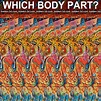 Stereogram by 3Dimka: Guess the part of body. Tags: ear human puzzle ...