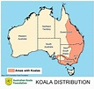 Koalas Habitat Map