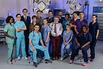 Series 17 (Holby City) | Holby Wiki - Casualty and Holby City | Fandom