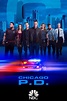 Chicago P.D. Season 7 | Rotten Tomatoes