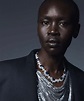 Alek Wek photo 129 of 191 pics, wallpaper - photo #1189495 - ThePlace2