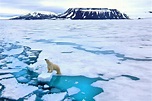 Polar ice caps in Greenland, Antarctica, melting 6 times faster than in ...
