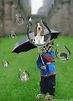 Raining Cats And Dogs GIF - Raining Cats And Dogs Droplets - Discover ...