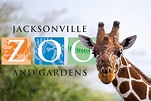 Jacksonville Zoo and Gardens - Go On a Walking Safari!