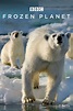 Frozen Planet (TV Series 2011-2011) - Posters — The Movie Database (TMDB)