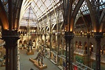 Main Court | Oxford University Museum of Natural History