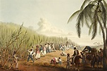 Histoire de la Martinique | AZ Martinique