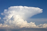 Las nubes más originales del cielo (y cómo identificarlas)