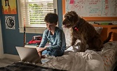 Ya está disponible en Netflix la comedia familiar: "Una Mente Canina"