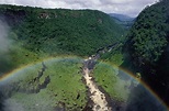 Amazonas: un patrimonio compartido | WWF