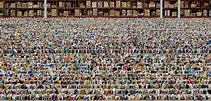 Amazon - Andreas Gursky | The Broad