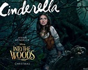 Cinderella Wallpaper - Into the Woods (Disney) Wallpaper (38692433 ...