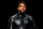 Actor Chadwick Bozeman in the fantastic film Black Panther, 2018 ...