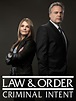 Watch Law & Order: Criminal Intent Online | Season 6 (2006) | TV Guide