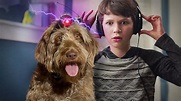 ¿Dónde ver 'Una mente canina (2020)'? | Netflix España | Bestflix