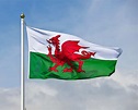 La bandiera del Galles: storia, significato e simbolismo