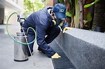 Why is a Professional Exterminator Better than DIY Solutions ...