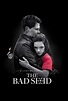 The Bad Seed (TV Movie 2018) - IMDb