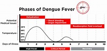 gov.sg | Warning signs that your dengue infection is getting worse