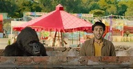 Hello Charlie Movie Review: This Jackie Shroff, Aadar Jain's Gorilla ...
