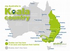 Koala Habitat – EnviroPrint Australia