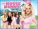 The House Bunny (2008) - Movie Review / Film Essay