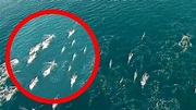 5 SIRENAS REALES CAPTADAS EN CÁMARA | Top 5 Sirenas Vistas En la Vida ...