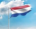 Niederlande Flagge online günstig kaufen - Premium Qualität