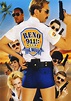 Reno 911! Miami - The Movie: DVD oder Blu-ray leihen - VIDEOBUSTER.de