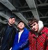 DMA'S release new video for 'Criminals' as The Aussie trio shine on ...