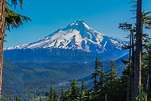 Beautiful Vista of Mount Hood in Oregon, USA. Stock Image - Image of ...