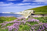 Las 10 mejores cosas que hacer en la isla de Wight - ¿Cuáles son los ...