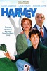 Harvey (película 1996) - Tráiler. resumen, reparto y dónde ver ...