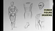 How To Draw Human Anatomy For Beginners : Body Anatomy Drawing ...