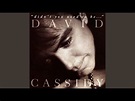 David Cassidy – "Didn't You Used To Be..." (2003, CD) - Discogs
