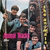 The Animals - Animal Tracks (1965, Red Vinyl, Vinyl) | Discogs