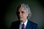 Steven Pinker Thinks the Future Is Looking Bright - The New York Times